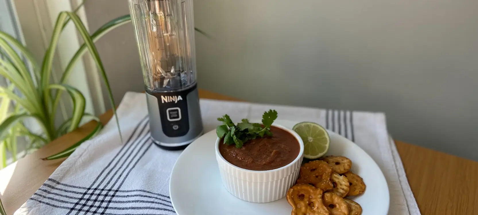 Black Bean Salsa Dip