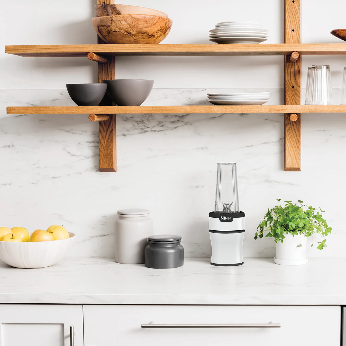 Ninja Nutri-Blender Plus