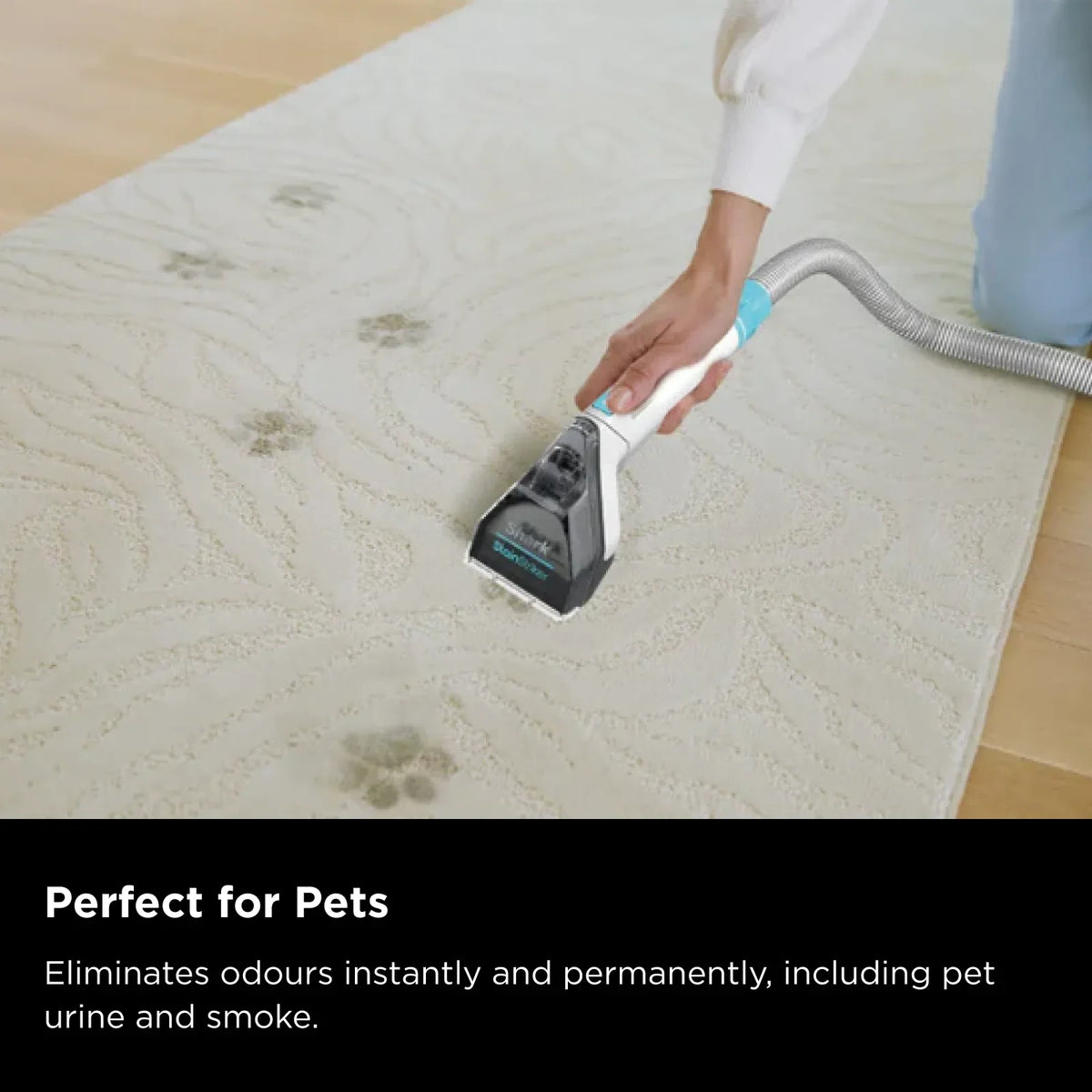 Shark CarpetXpert Deep Carpet Cleaner with Built-In StainStriker
