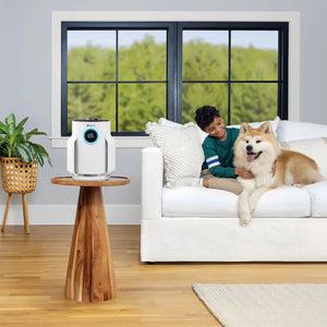 Shark NeverChange Air Purifier Compact Pro