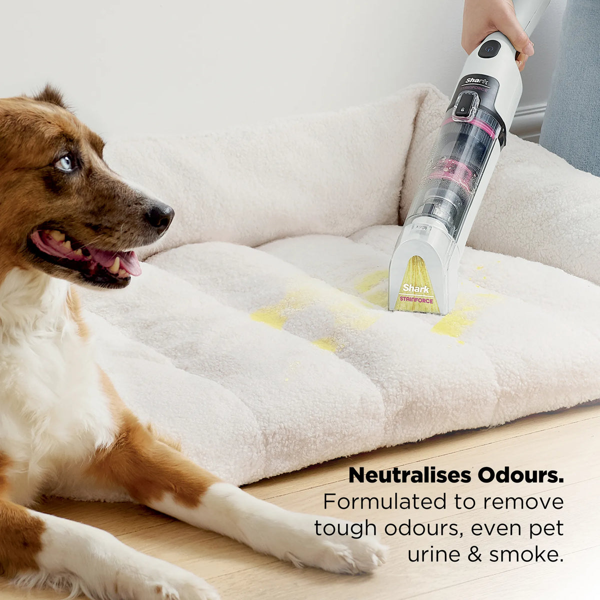 Shark StainForce Cordless Stain-Destroying Spot Cleaner