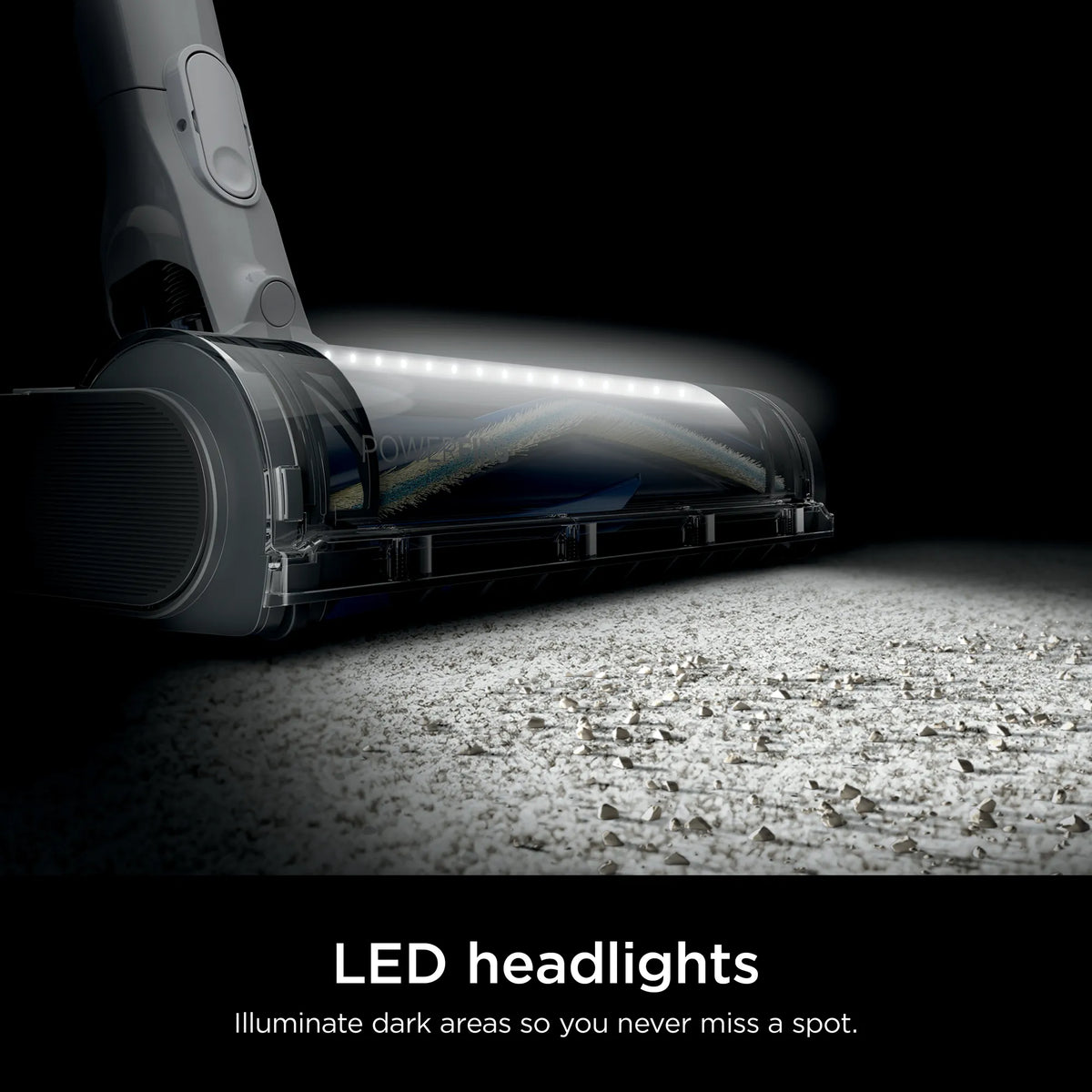 colour_White & Navy