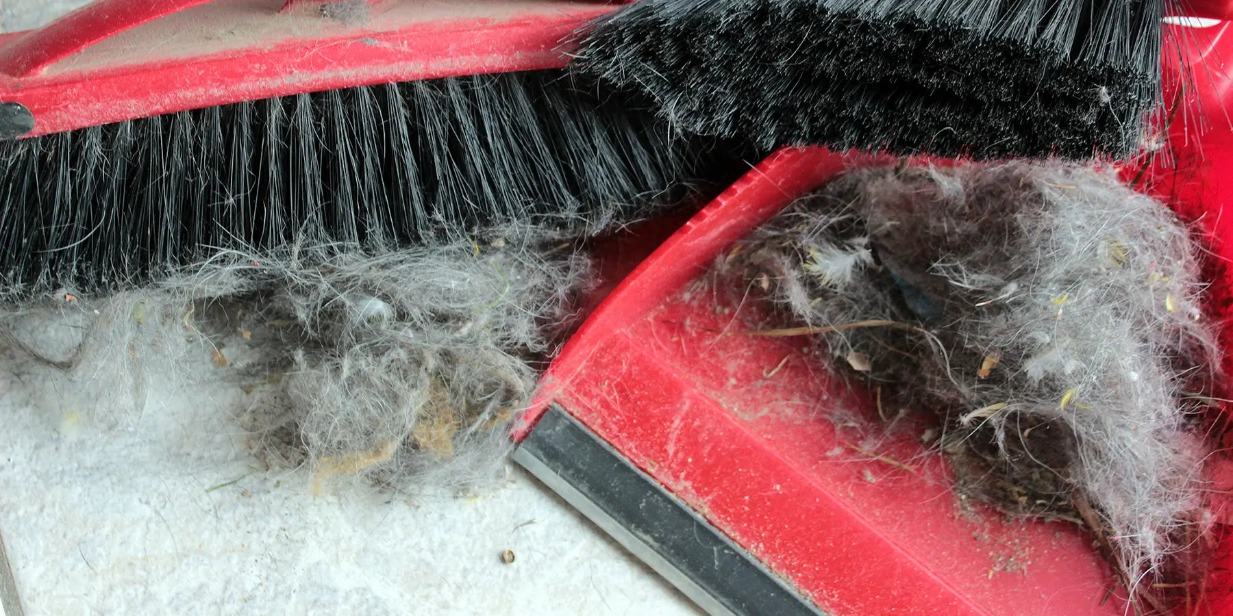 The Complete Guide to Dust… and How to Get Rid of It