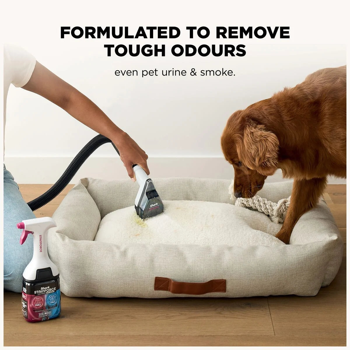 Shark EveryMess 3-in-1 Wet Vac, Dry Vac and Stain System