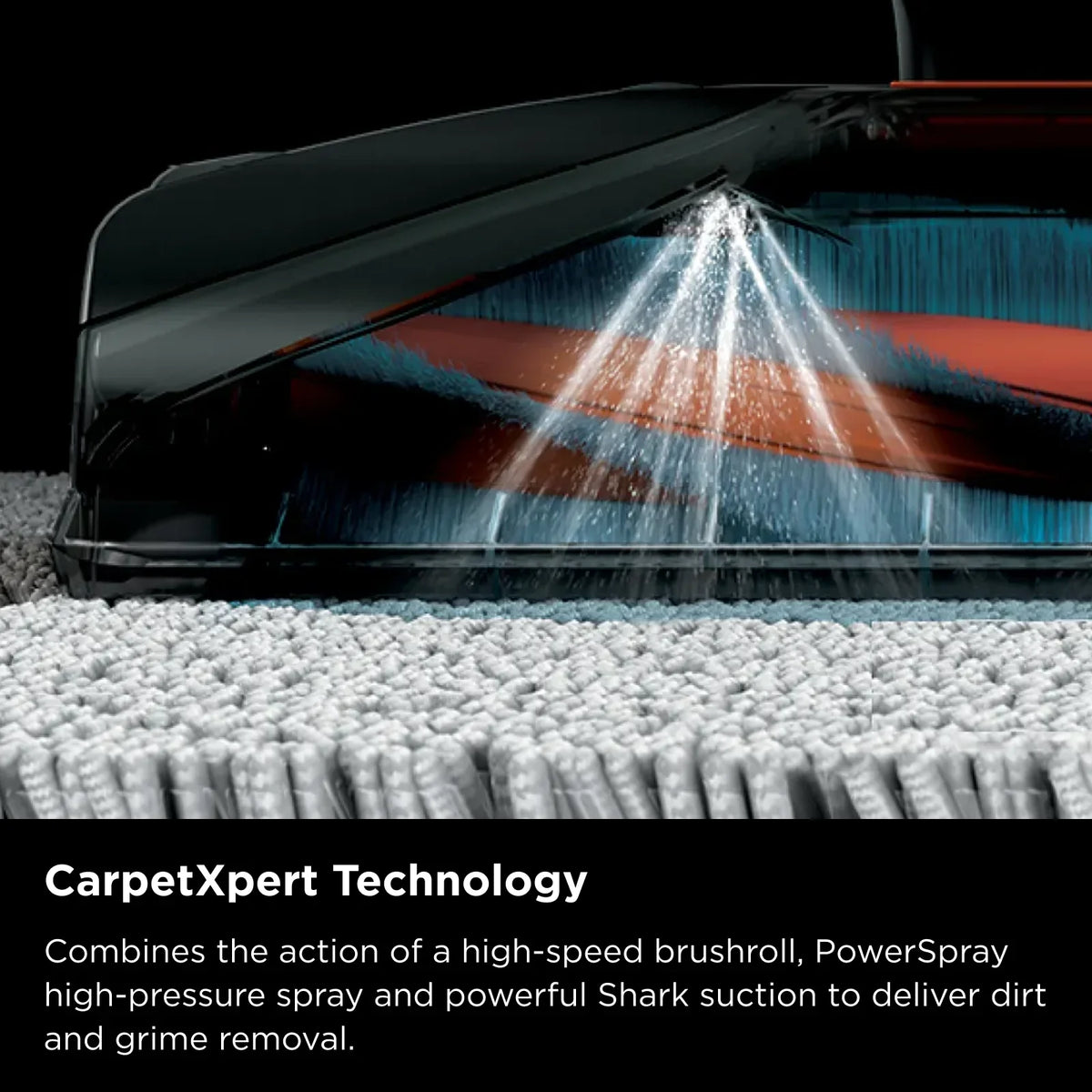 Shark CarpetXpert Deep Carpet Cleaner with Built-In StainStriker