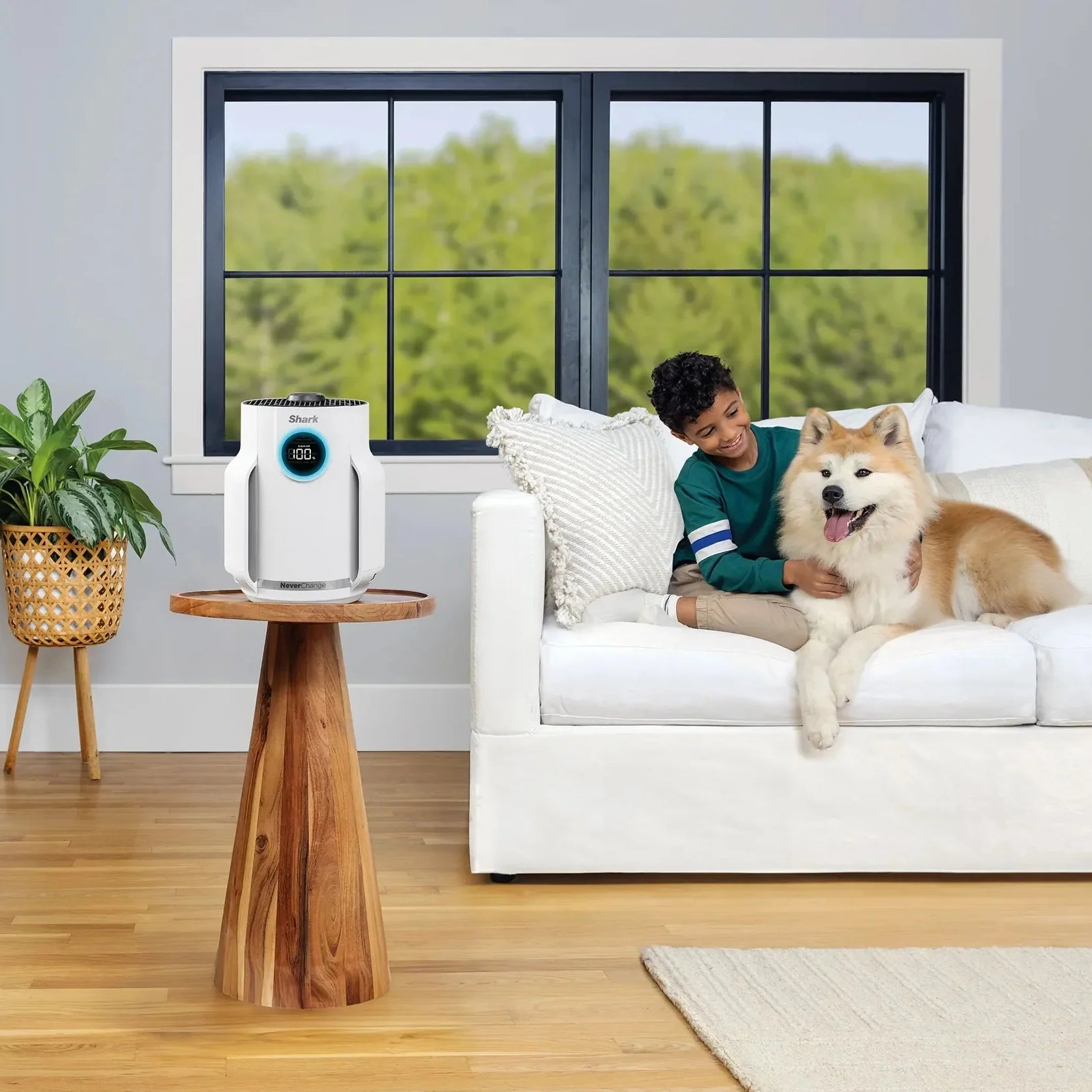 Shark NeverChange Air Purifier Compact Pro